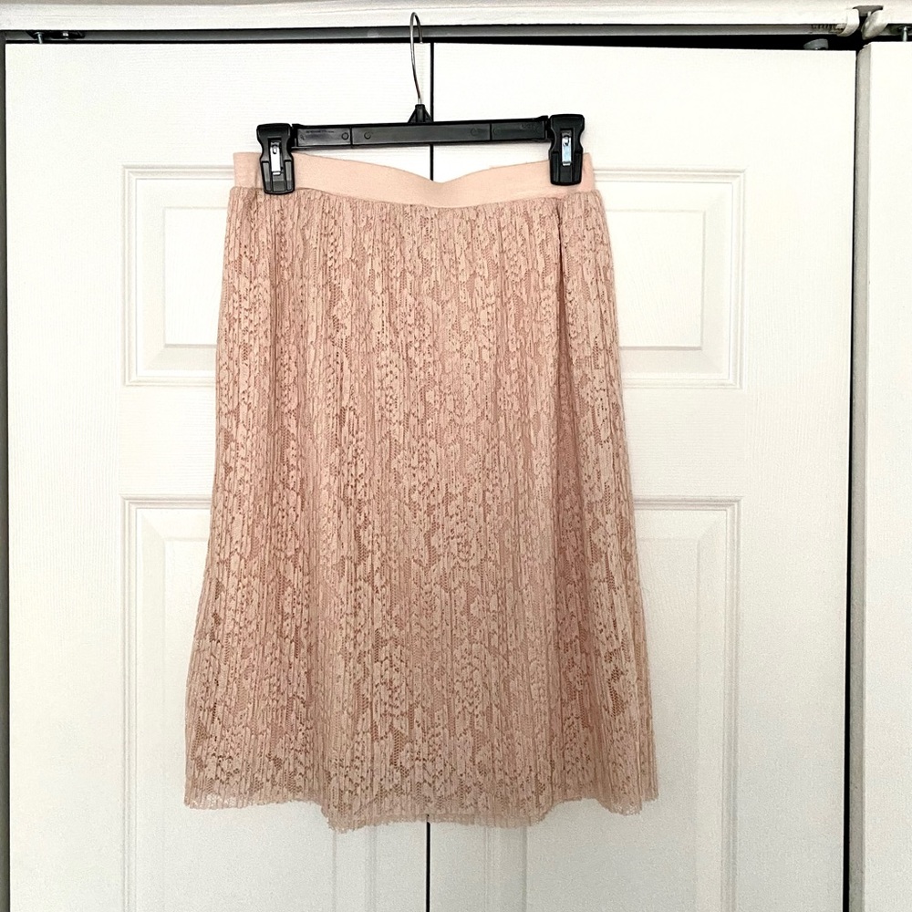 Joe B Beautiful Women’s Baby Pink Lace Pleated Skirt